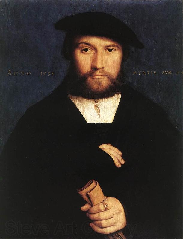 HOLBEIN, Hans the Younger Portrait of a Member of the Wedigh Family sf France oil painting art